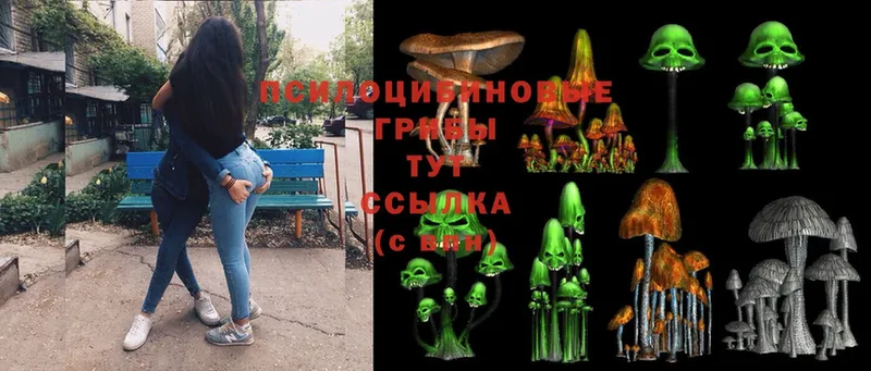 Псилоцибиновые грибы Psilocybine cubensis  наркотики  ОМГ ОМГ ONION  Кулебаки 